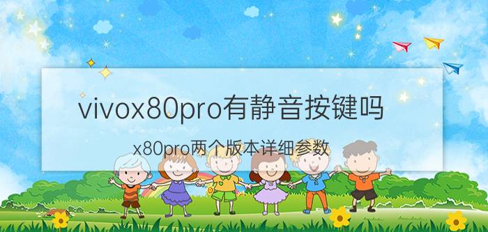 vivox80pro有静音按键吗 x80pro两个版本详细参数？